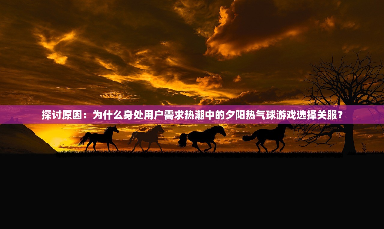 探讨原因：为什么身处用户需求热潮中的夕阳热气球游戏选择关服？