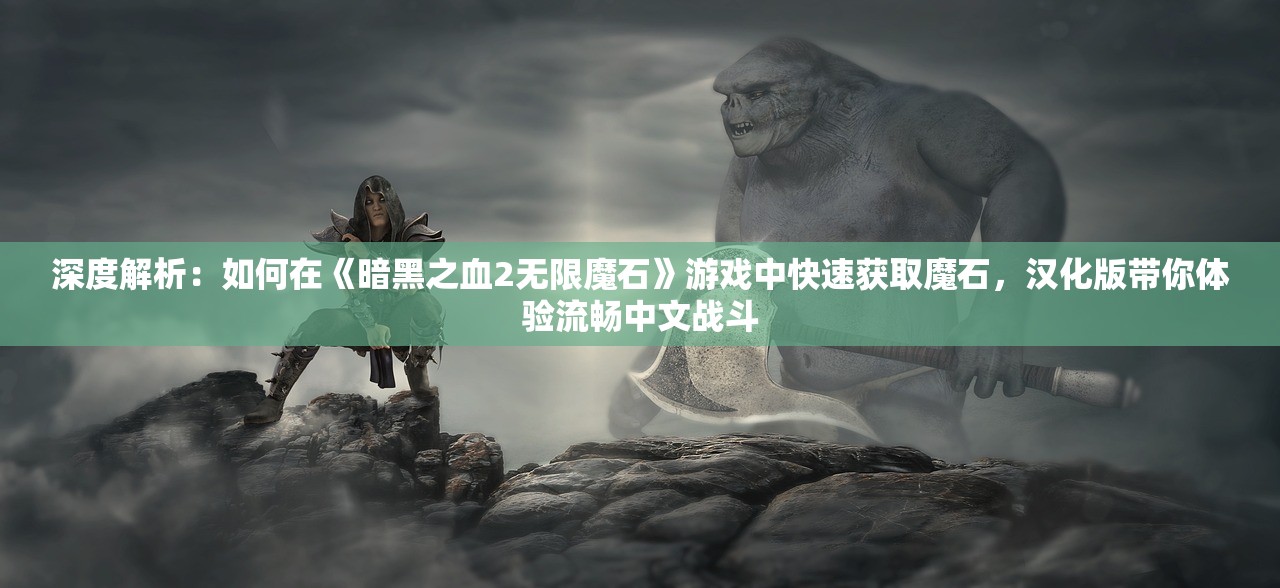 深度解析：如何在《暗黑之血2无限魔石》游戏中快速获取魔石，汉化版带你体验流畅中文战斗