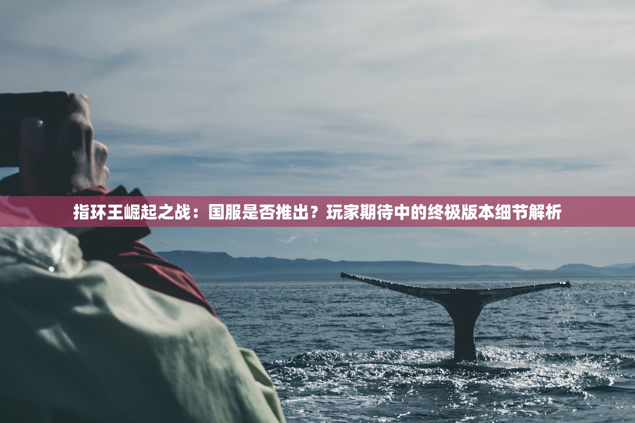 指环王崛起之战：国服是否推出？玩家期待中的终极版本细节解析