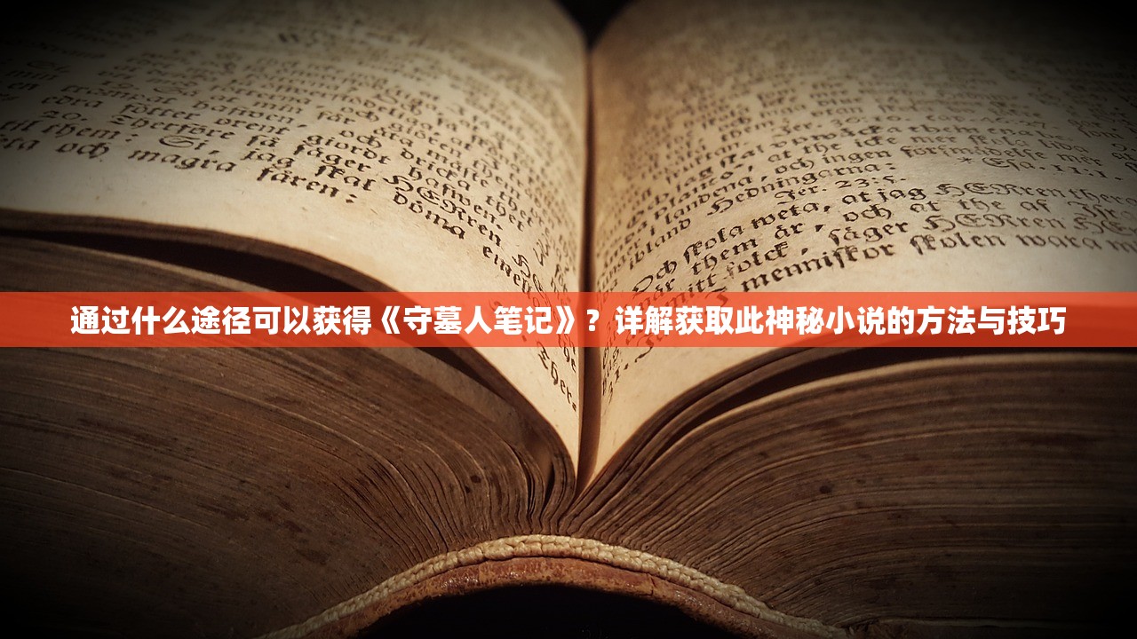 通过什么途径可以获得《守墓人笔记》？详解获取此神秘小说的方法与技巧