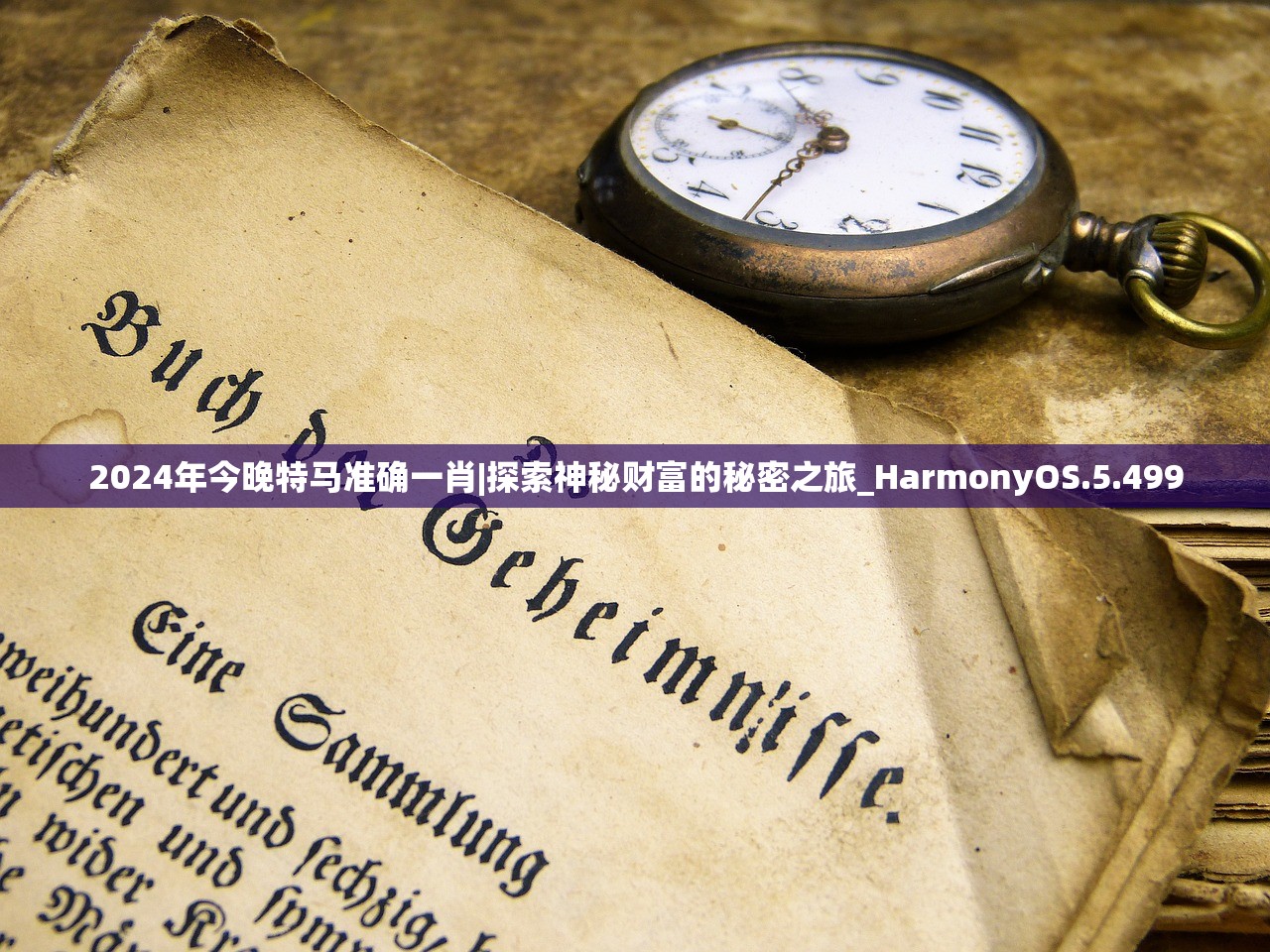 2024年今晚特马准确一肖|探索神秘财富的秘密之旅_HarmonyOS.5.499