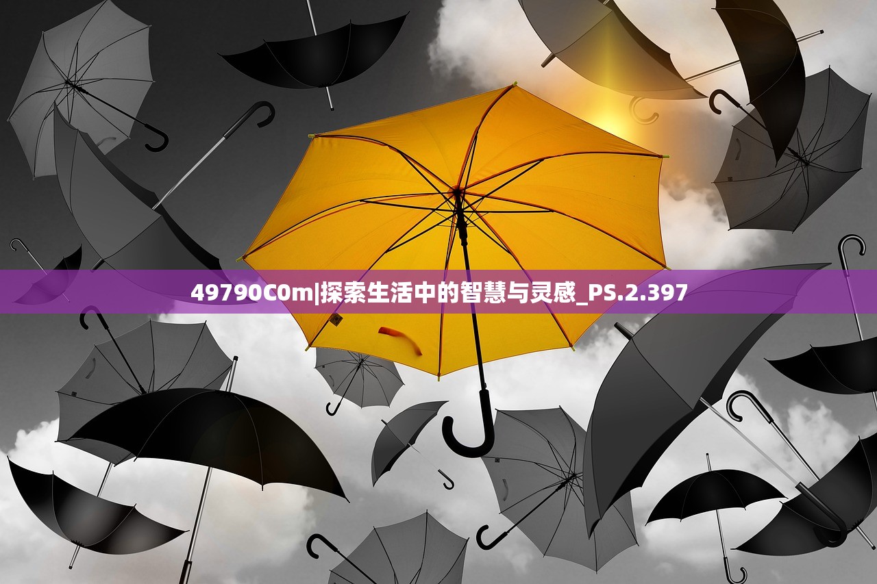 49790C0m|探索生活中的智慧与灵感_PS.2.397