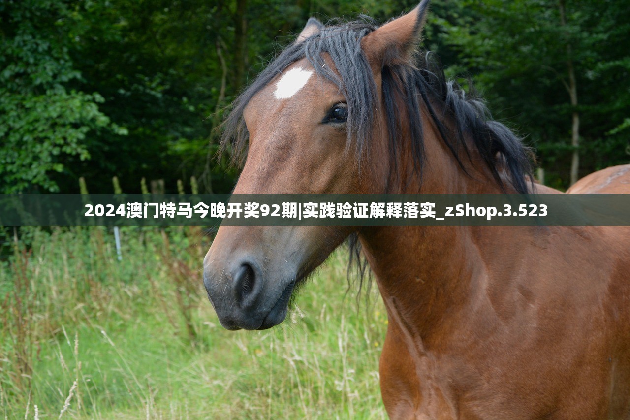 2024澳门特马今晚开奖92期|实践验证解释落实_zShop.3.523