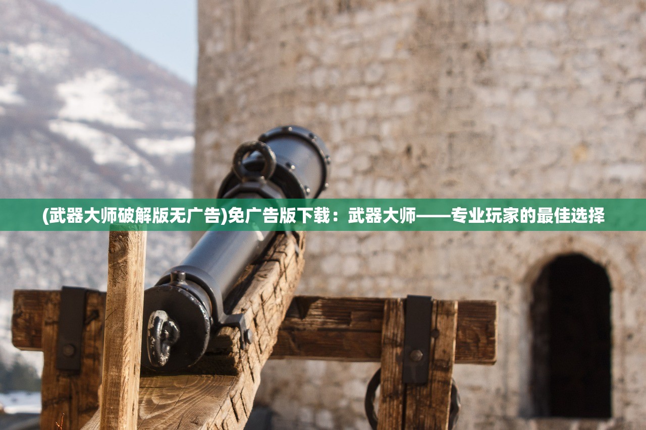 (武器大师破解版无广告)免广告版下载：武器大师——专业玩家的最佳选择