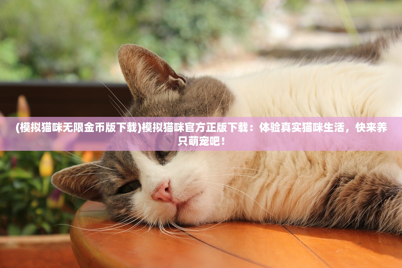 (模拟猫咪无限金币版下载)模拟猫咪官方正版下载：体验真实猫咪生活，快来养只萌宠吧！