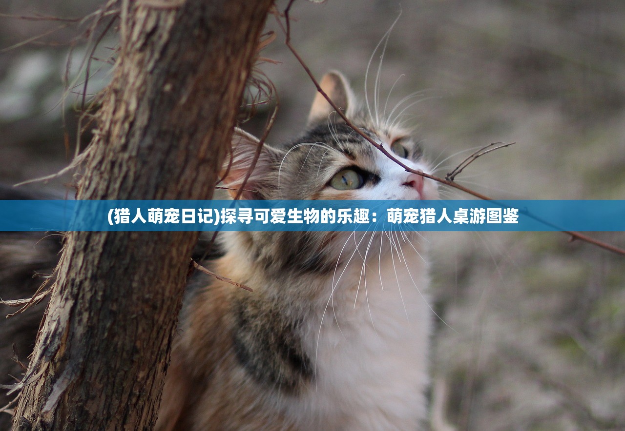 (猎人萌宠日记)探寻可爱生物的乐趣：萌宠猎人桌游图鉴