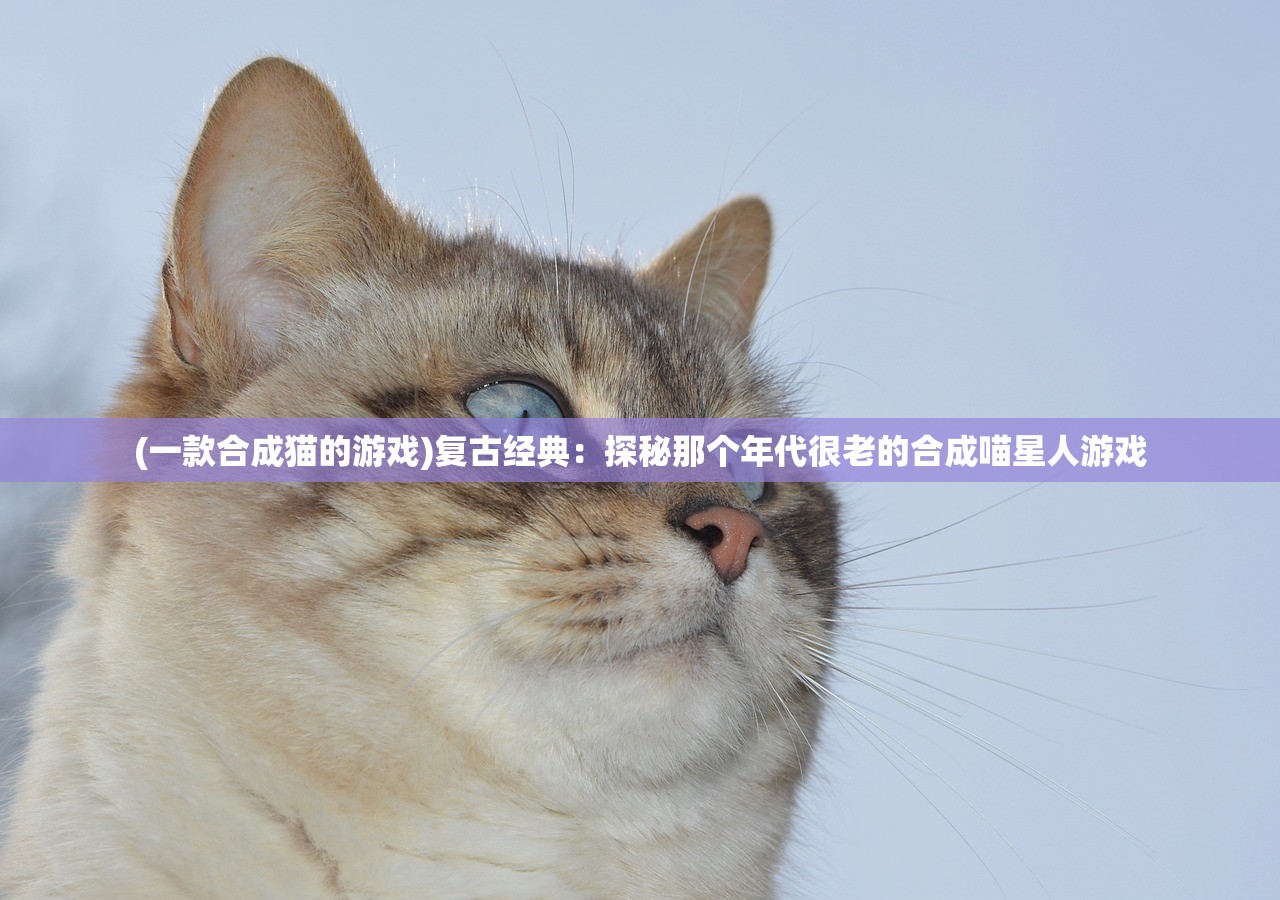 (一款合成猫的游戏)复古经典：探秘那个年代很老的合成喵星人游戏