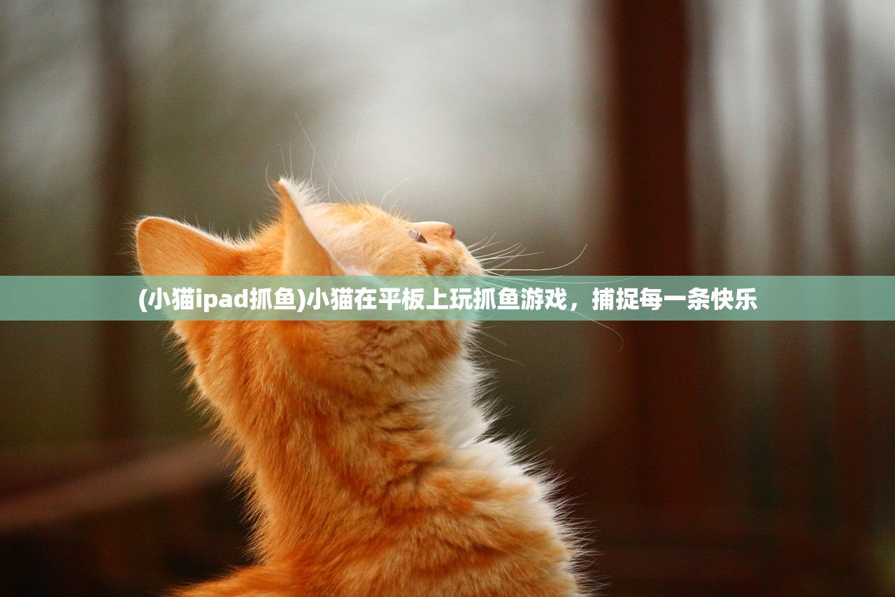 (小猫ipad抓鱼)小猫在平板上玩抓鱼游戏，捕捉每一条快乐