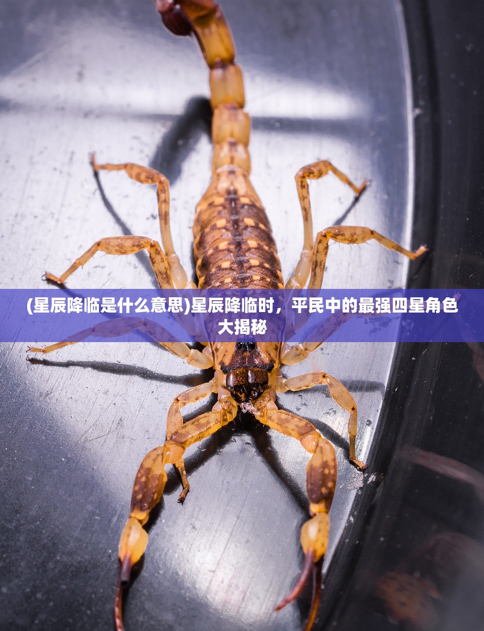 (星辰降临是什么意思)星辰降临时，平民中的最强四星角色大揭秘