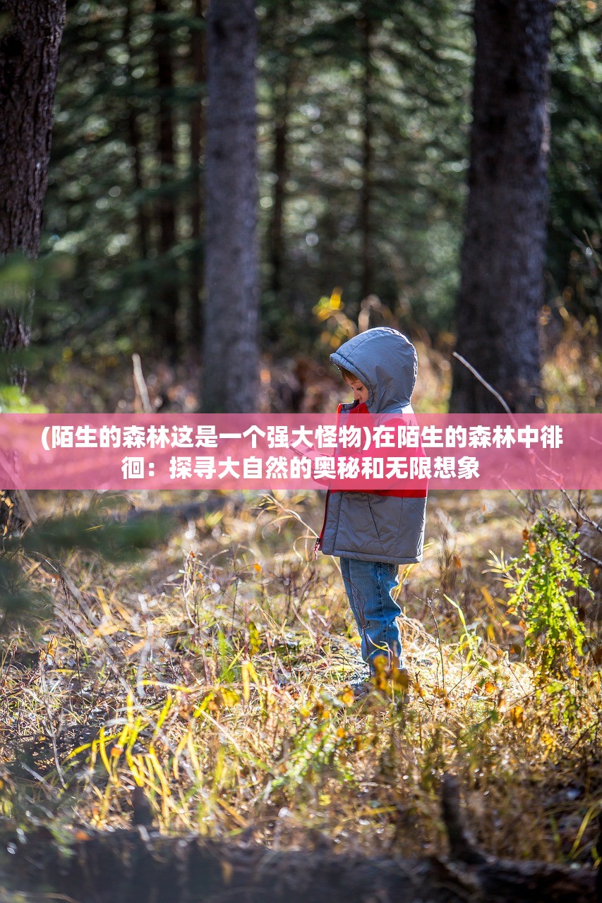 (陌生的森林这是一个强大怪物)在陌生的森林中徘徊：探寻大自然的奥秘和无限想象