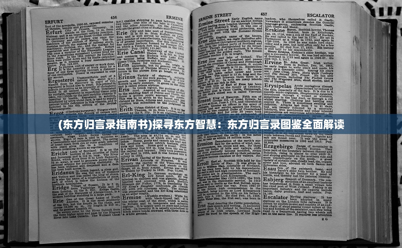 (东方归言录指南书)探寻东方智慧：东方归言录图鉴全面解读