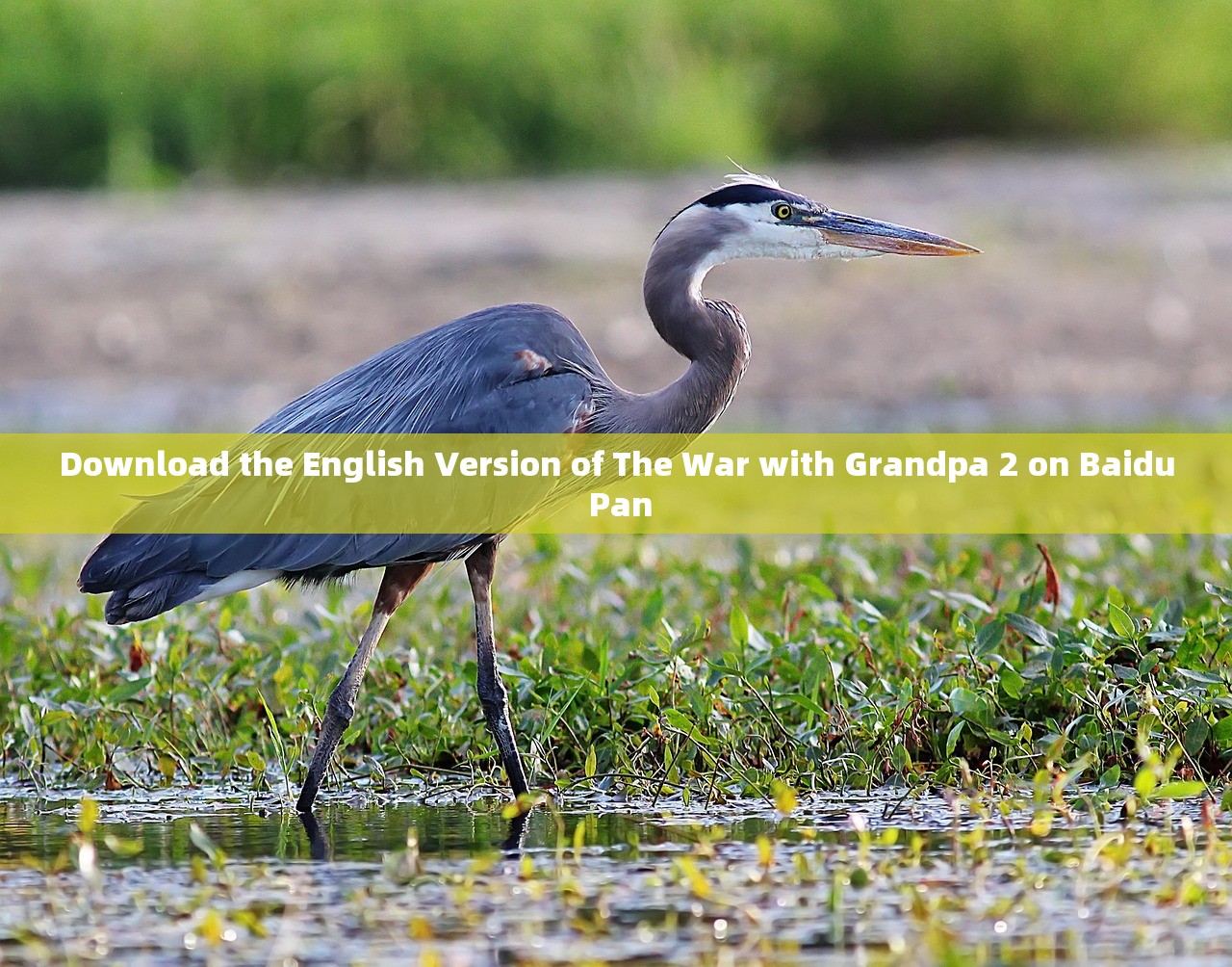 Download the English Version of The War with Grandpa 2 on Baidu Pan