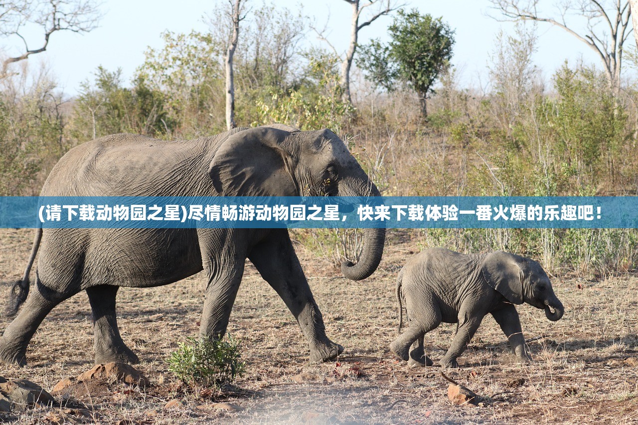 (请下载动物园之星)尽情畅游动物园之星，快来下载体验一番火爆的乐趣吧！