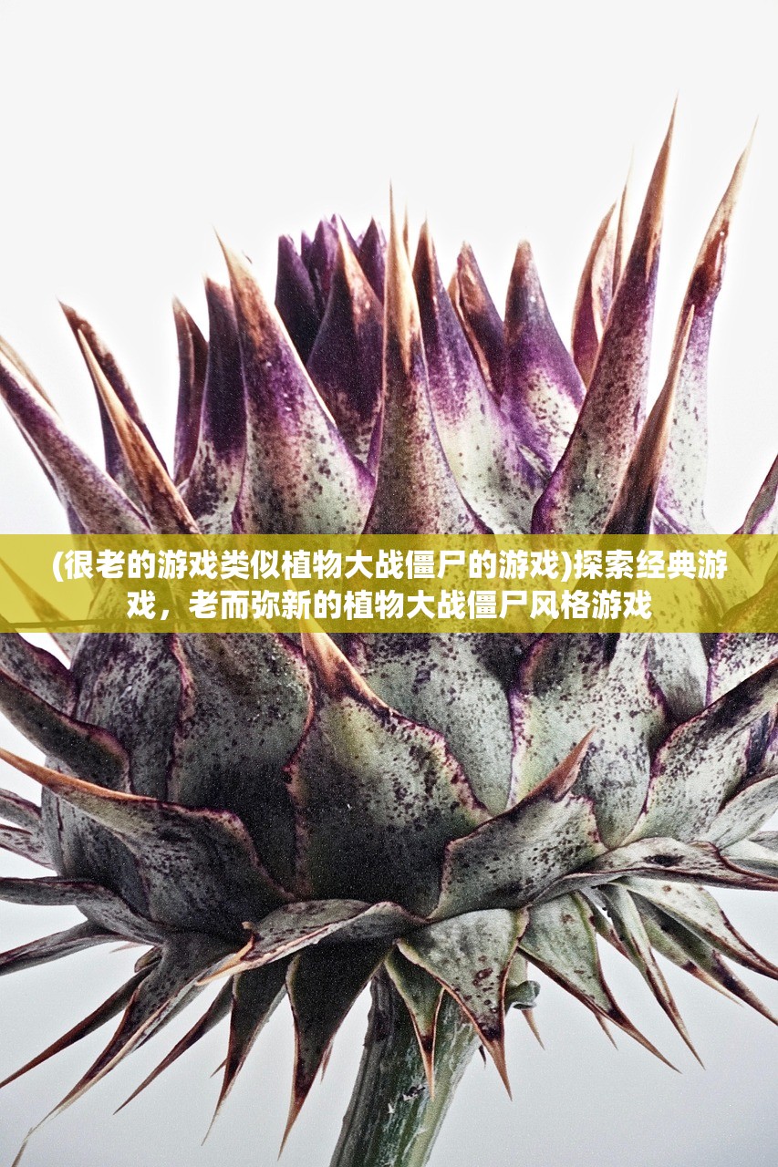 (很老的游戏类似植物大战僵尸的游戏)探索经典游戏，老而弥新的植物大战僵尸风格游戏