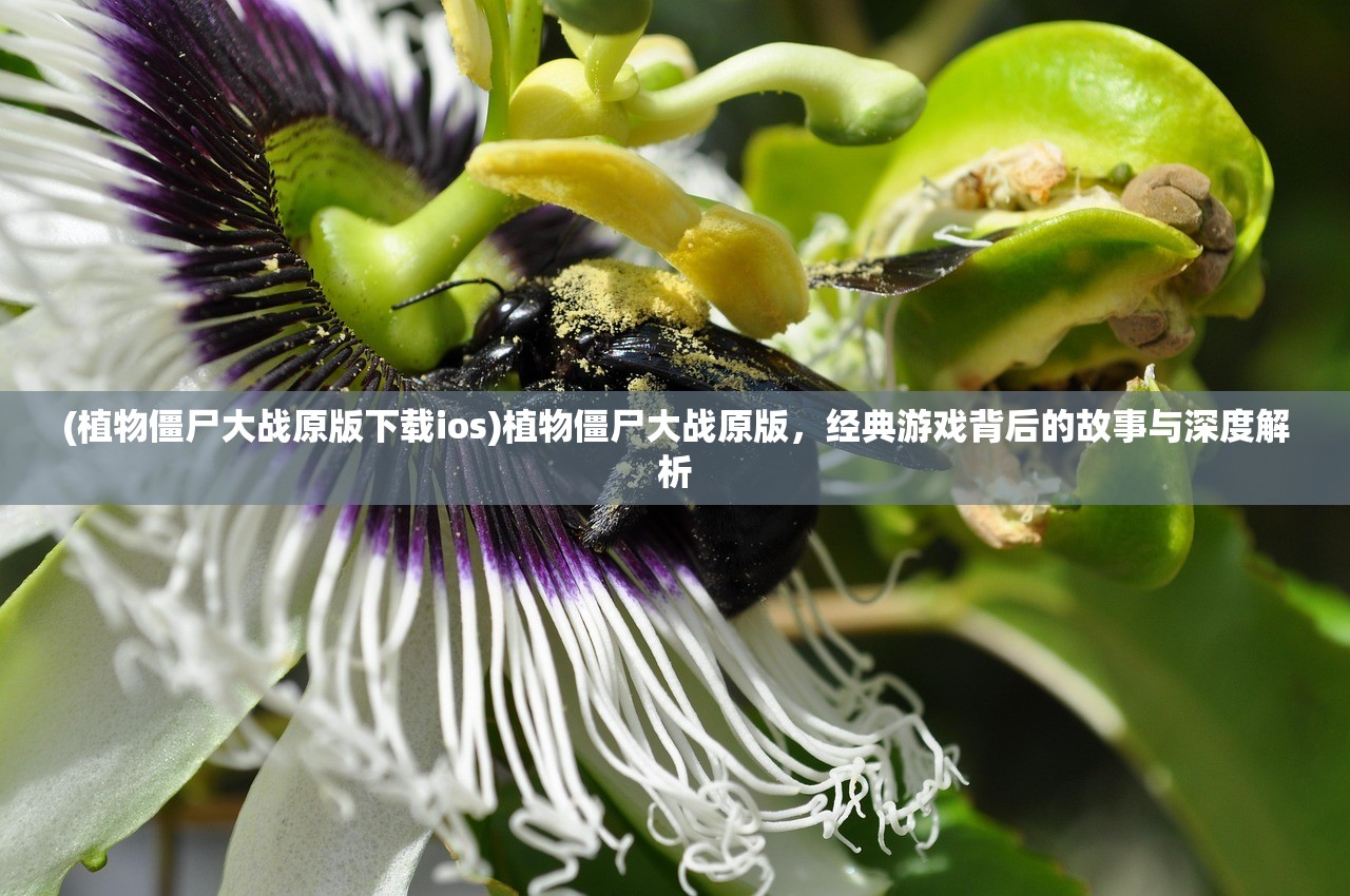 (植物僵尸大战原版下载ios)植物僵尸大战原版，经典游戏背后的故事与深度解析