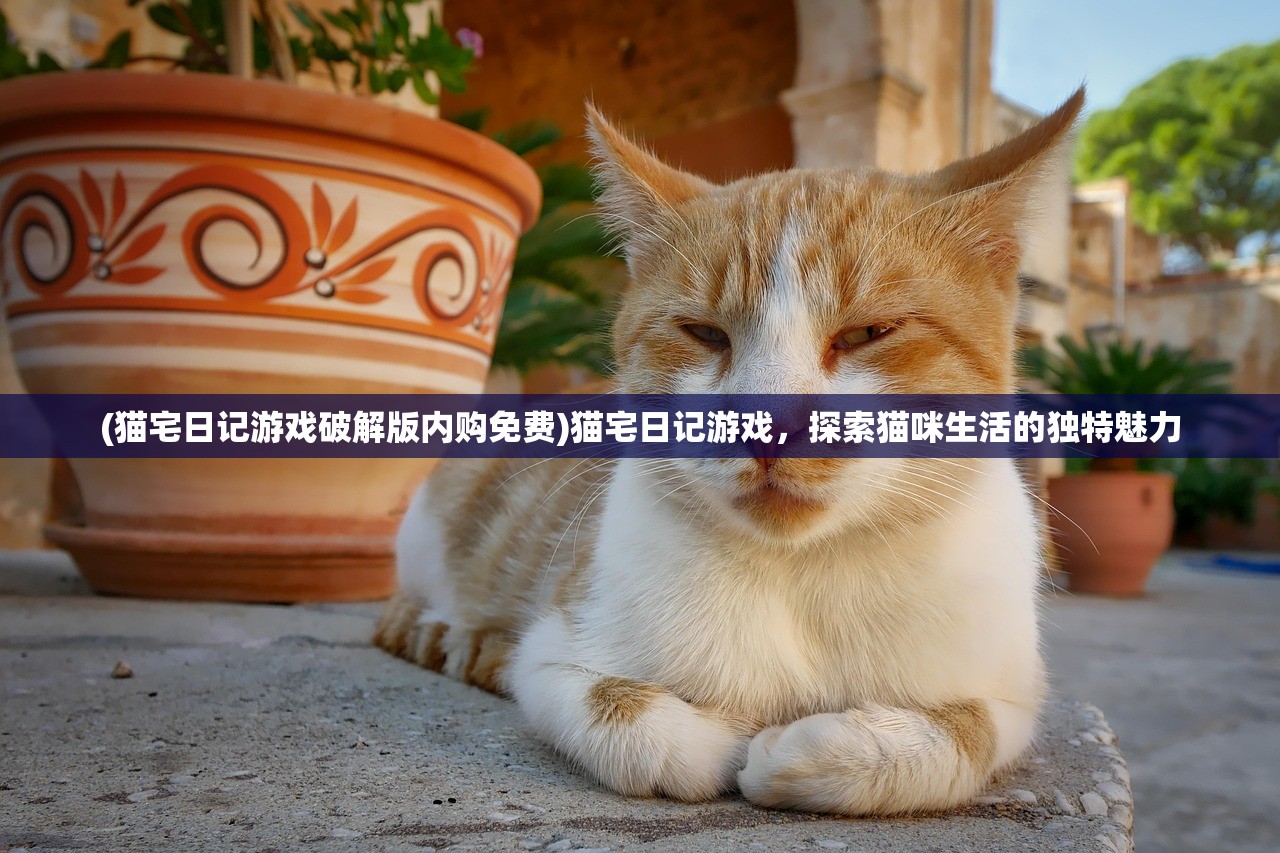 (猫宅日记游戏破解版内购免费)猫宅日记游戏，探索猫咪生活的独特魅力