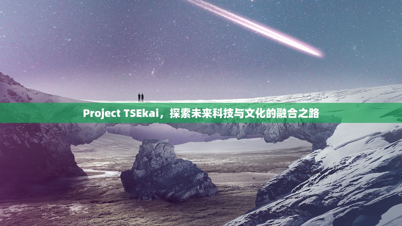 Project TSEkai，探索未来科技与文化的融合之路