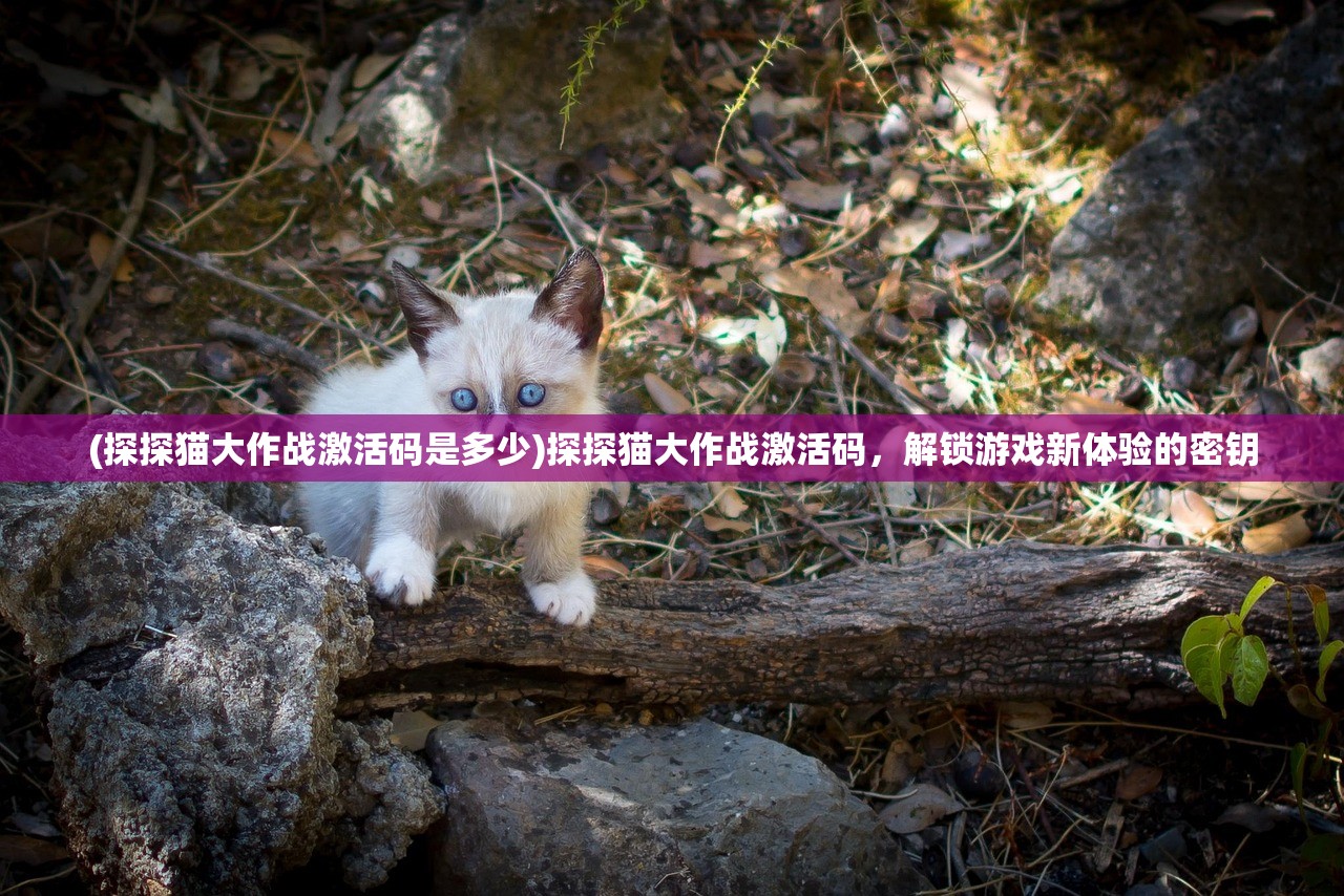 (探探猫大作战激活码是多少)探探猫大作战激活码，解锁游戏新体验的密钥