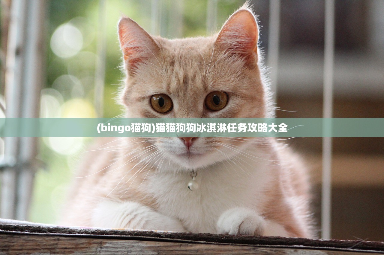 (bingo猫狗)猫猫狗狗冰淇淋任务攻略大全