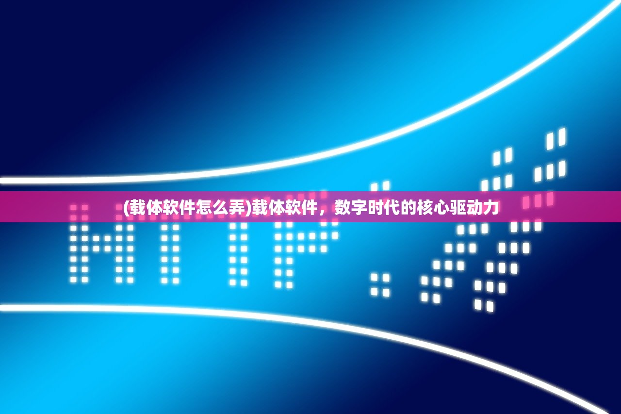 (载体软件怎么弄)载体软件，数字时代的核心驱动力