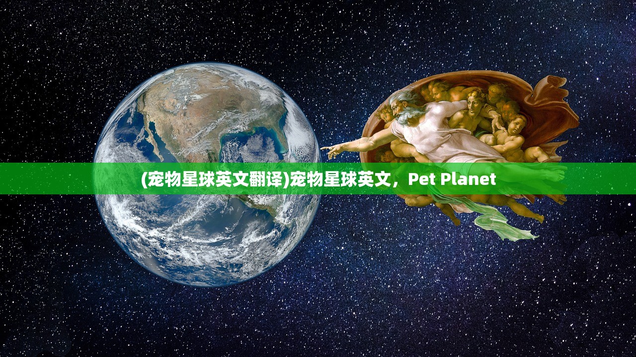 (宠物星球英文翻译)宠物星球英文，Pet Planet