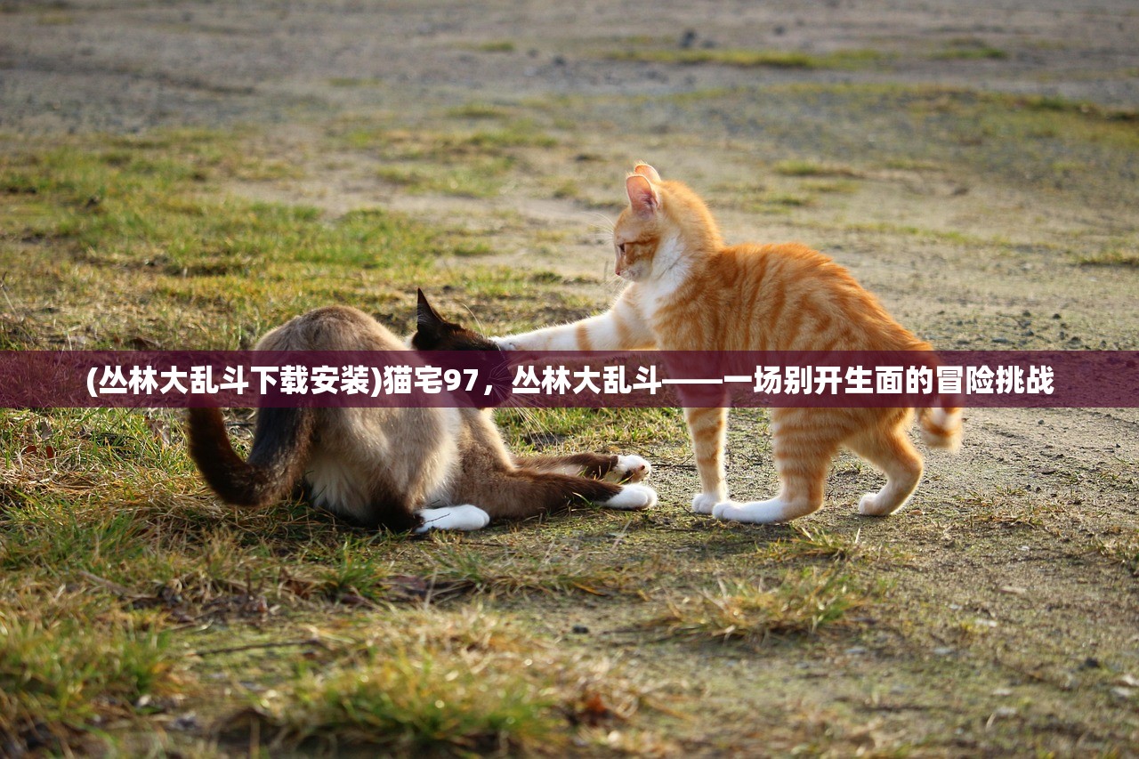 (丛林大乱斗下载安装)猫宅97，丛林大乱斗——一场别开生面的冒险挑战