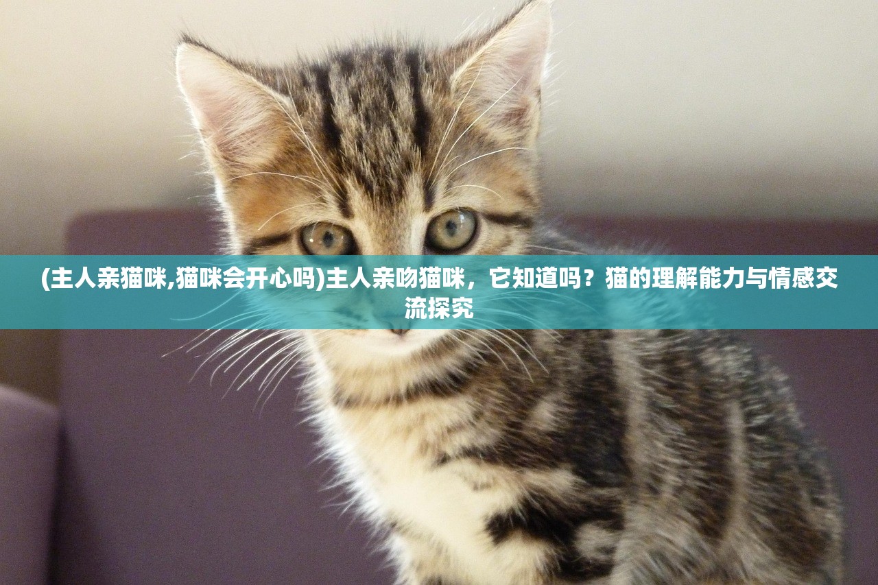 (主人亲猫咪,猫咪会开心吗)主人亲吻猫咪，它知道吗？猫的理解能力与情感交流探究