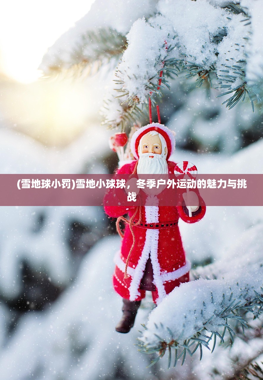 (雪地球小罚)雪地小球球，冬季户外运动的魅力与挑战