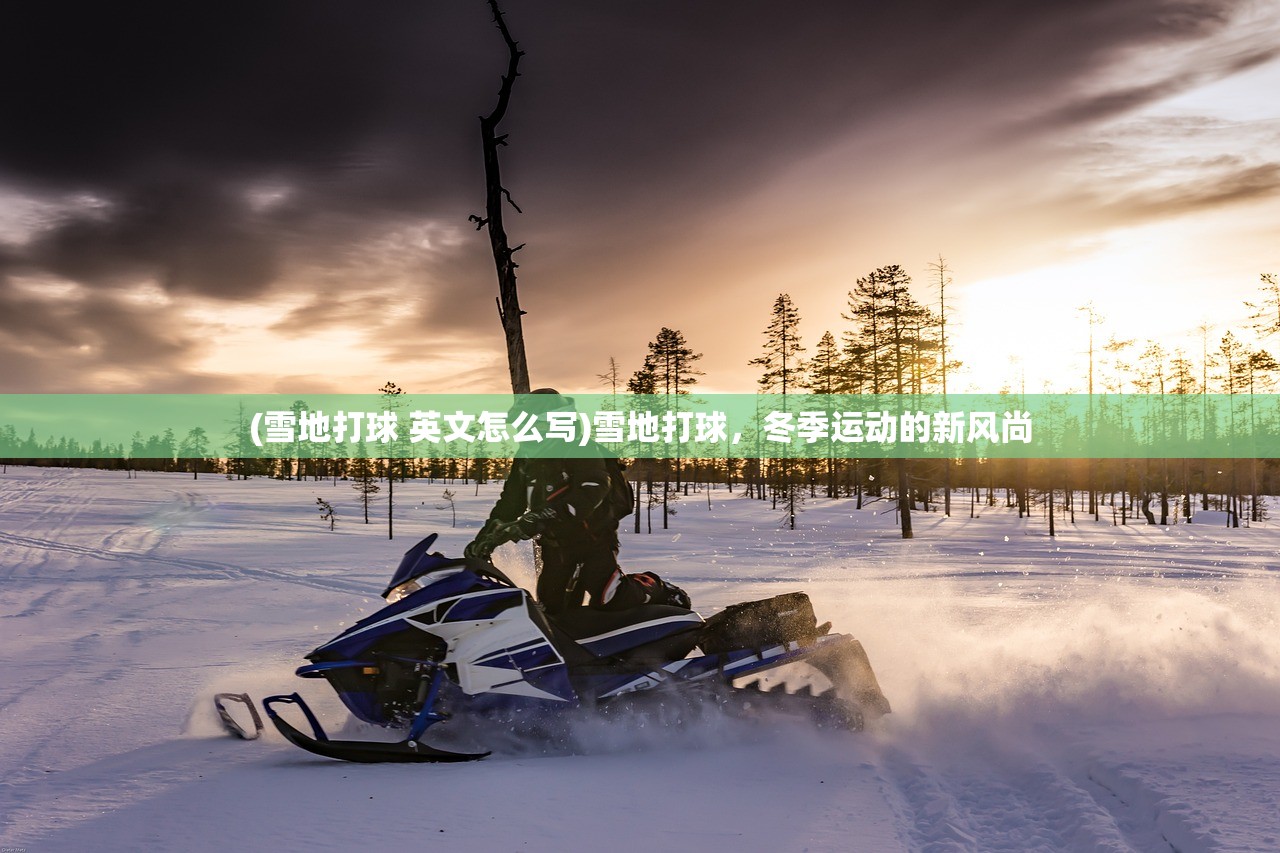 (雪地打球 英文怎么写)雪地打球，冬季运动的新风尚