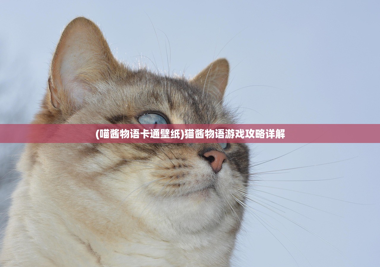 (喵酱物语卡通壁纸)猫酱物语游戏攻略详解