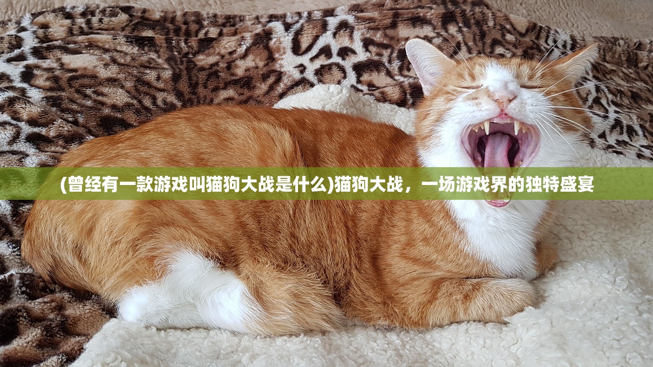 (曾经有一款游戏叫猫狗大战是什么)猫狗大战，一场游戏界的独特盛宴