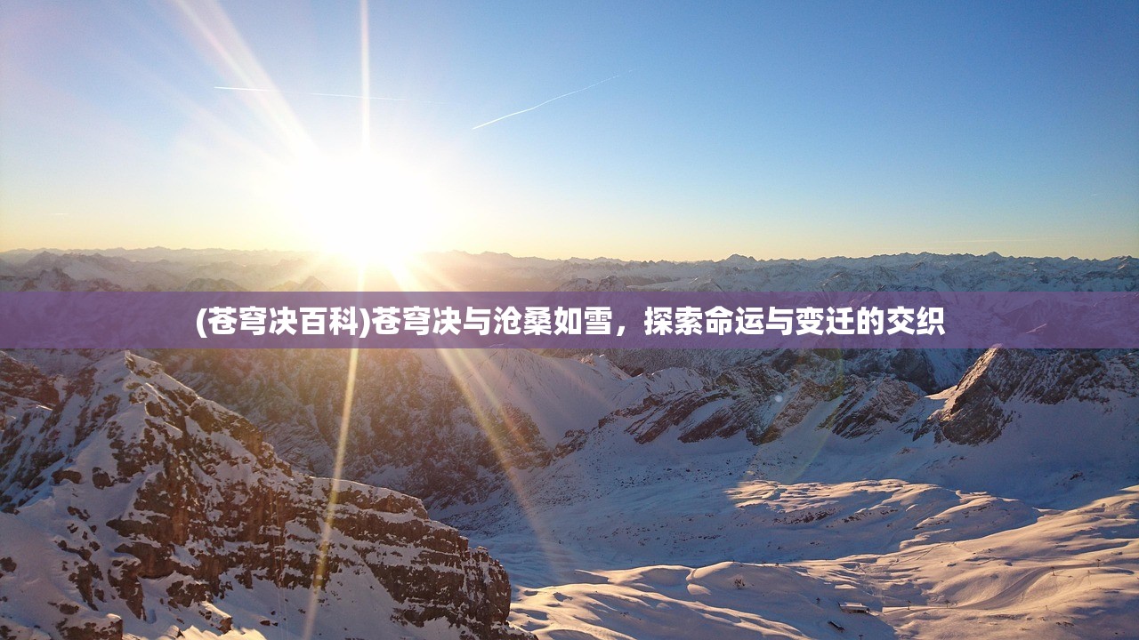 (苍穹决百科)苍穹决与沧桑如雪，探索命运与变迁的交织