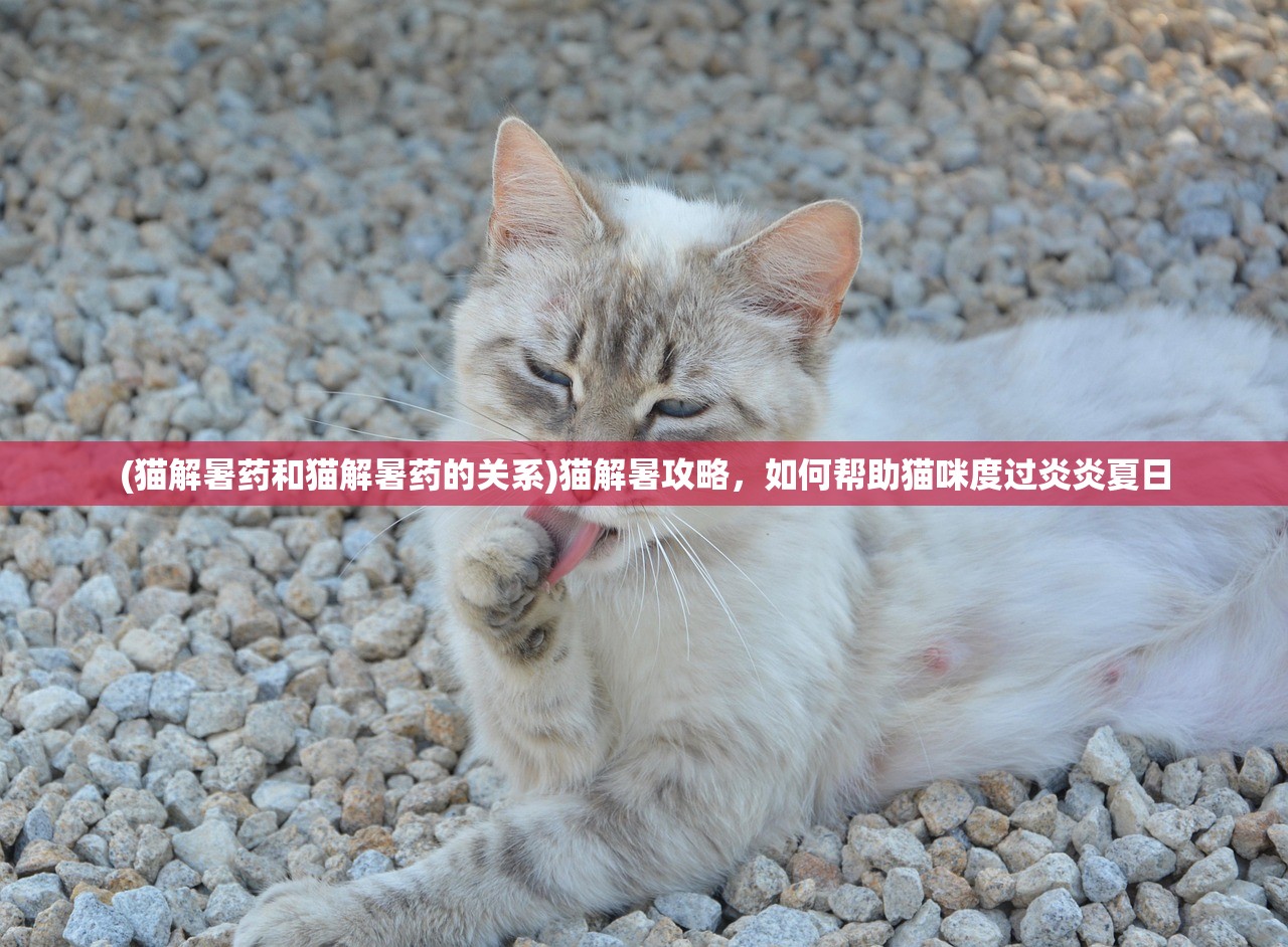 (猫解暑药和猫解暑药的关系)猫解暑攻略，如何帮助猫咪度过炎炎夏日