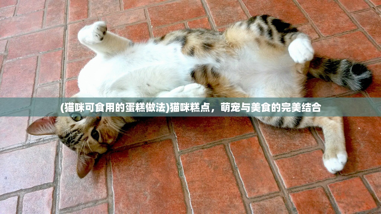 (猫咪可食用的蛋糕做法)猫咪糕点，萌宠与美食的完美结合