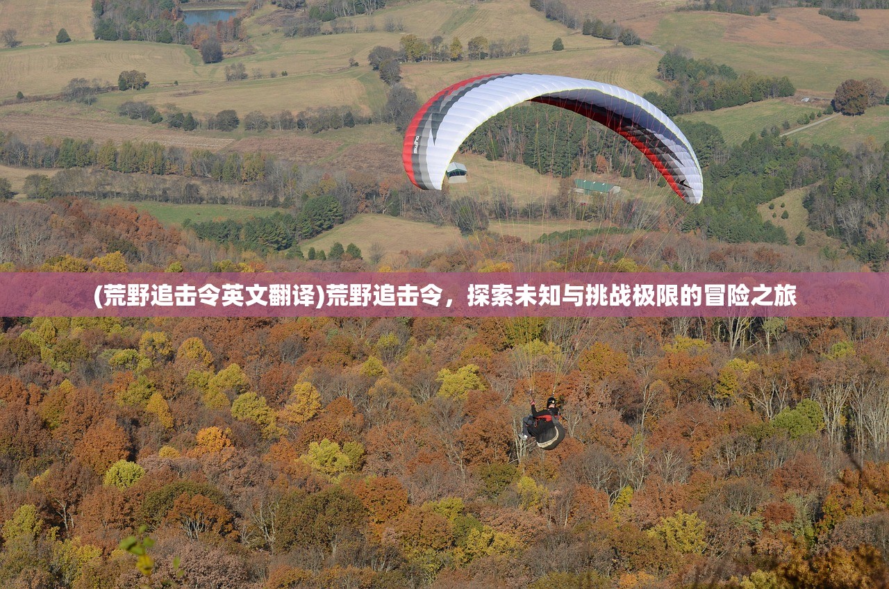 (荒野追击令英文翻译)荒野追击令，探索未知与挑战极限的冒险之旅