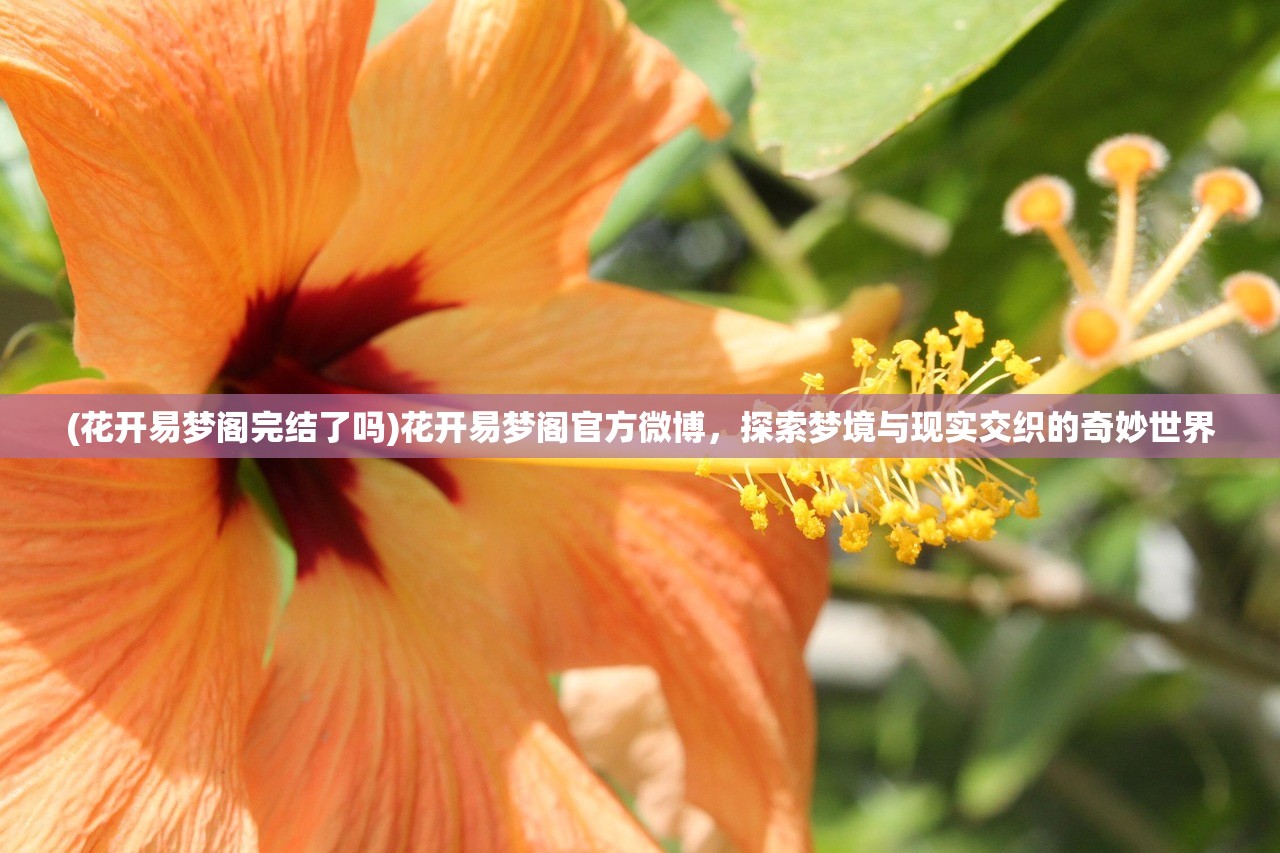 (花开易梦阁完结了吗)花开易梦阁官方微博，探索梦境与现实交织的奇妙世界