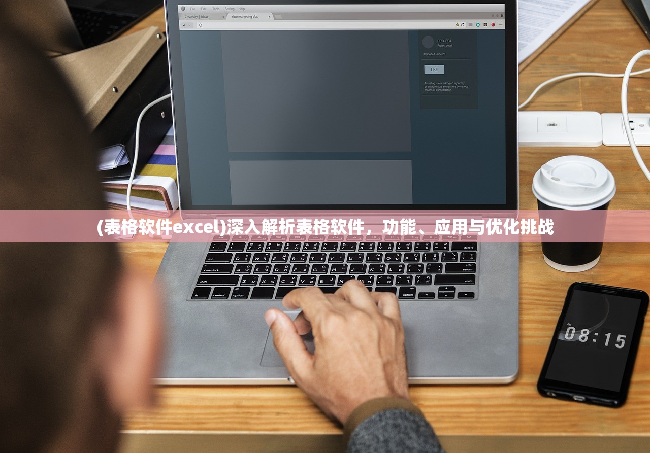 (表格软件excel)深入解析表格软件，功能、应用与优化挑战