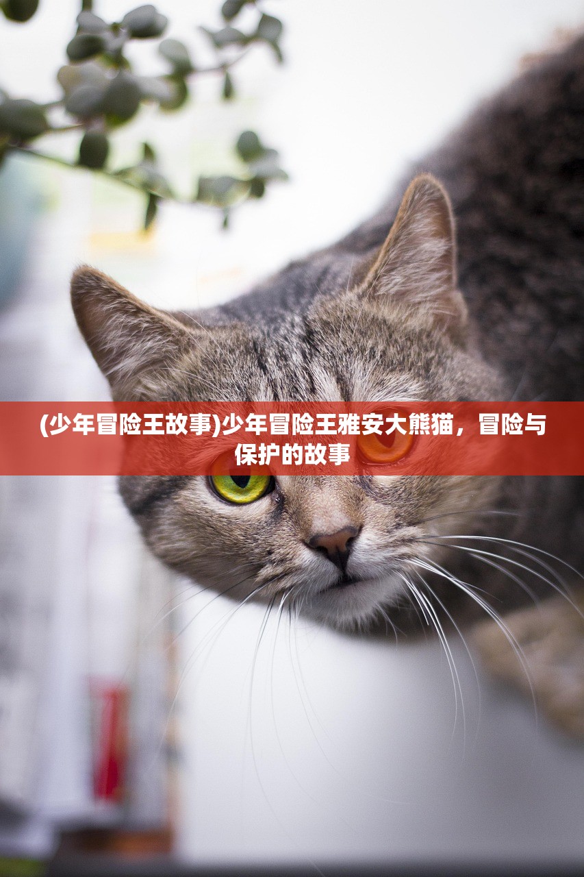 (少年冒险王故事)少年冒险王雅安大熊猫，冒险与保护的故事