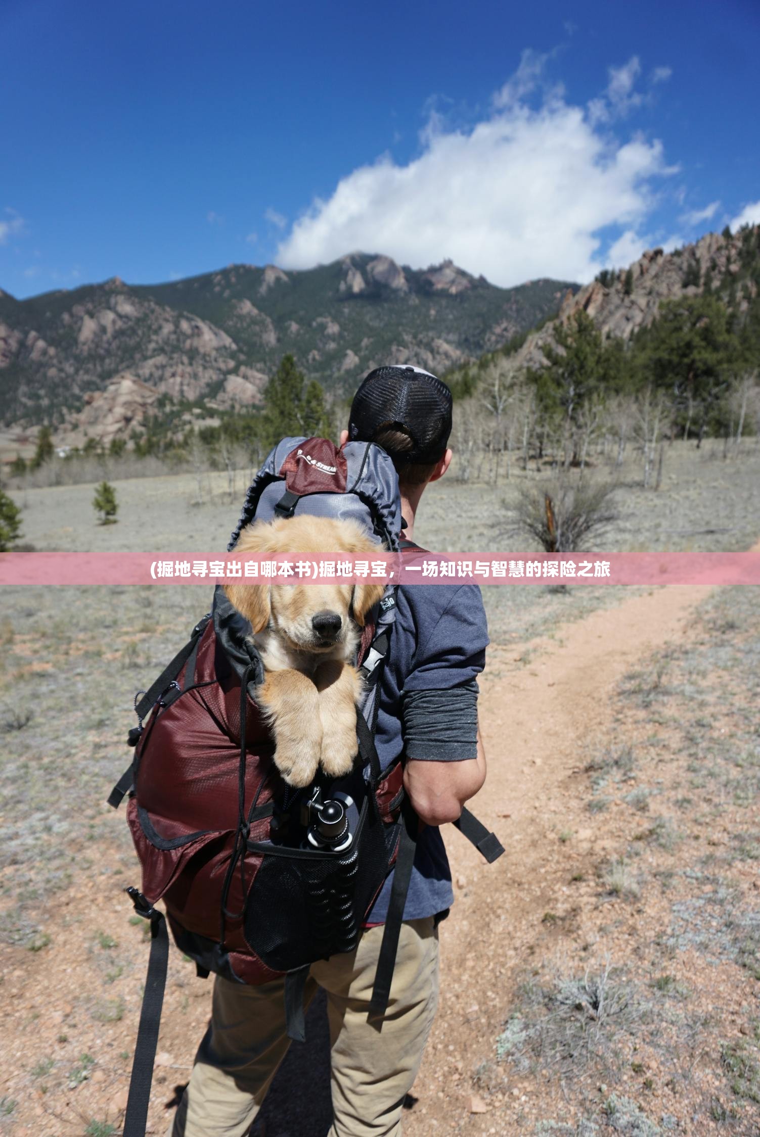 (掘地寻宝出自哪本书)掘地寻宝，一场知识与智慧的探险之旅