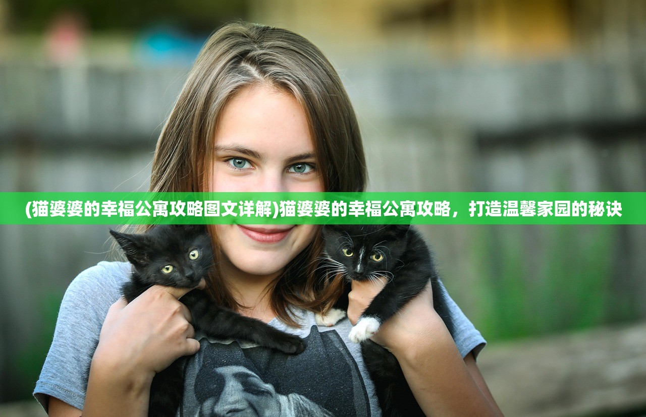 (猫婆婆的幸福公寓攻略图文详解)猫婆婆的幸福公寓攻略，打造温馨家园的秘诀