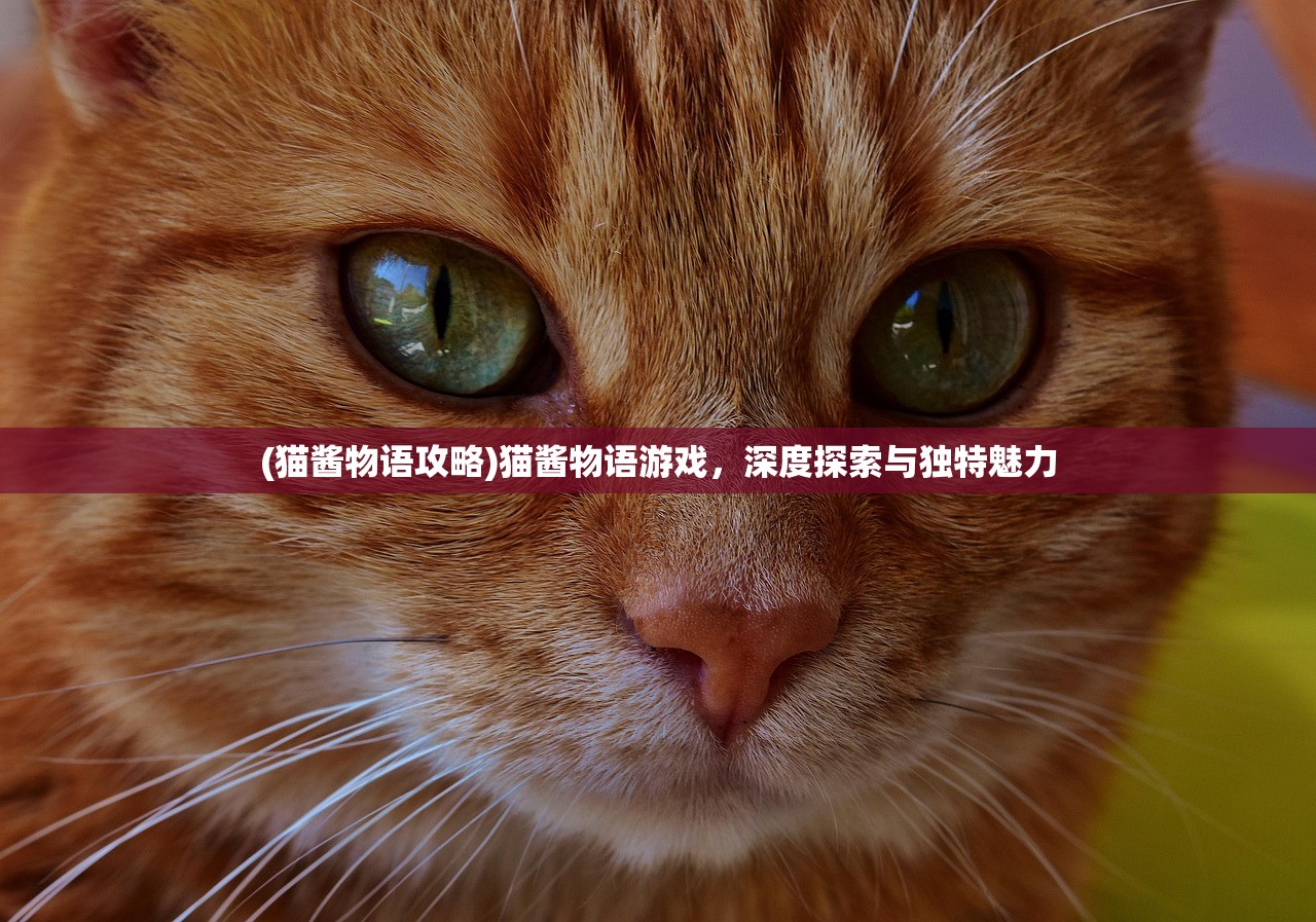 (猫酱物语攻略)猫酱物语游戏，深度探索与独特魅力