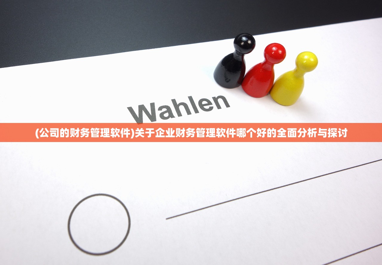 (公司的财务管理软件)关于企业财务管理软件哪个好的全面分析与探讨