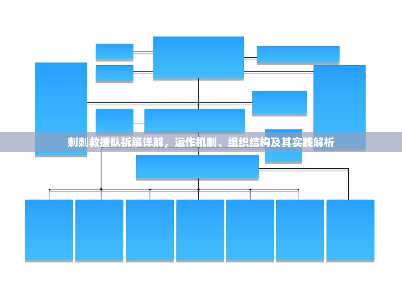 刺刺救援队拆解详解，运作机制、组织结构及其实践解析