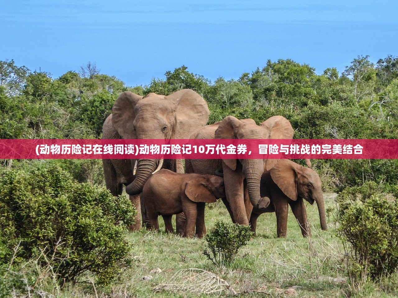 (动物历险记在线阅读)动物历险记10万代金券，冒险与挑战的完美结合