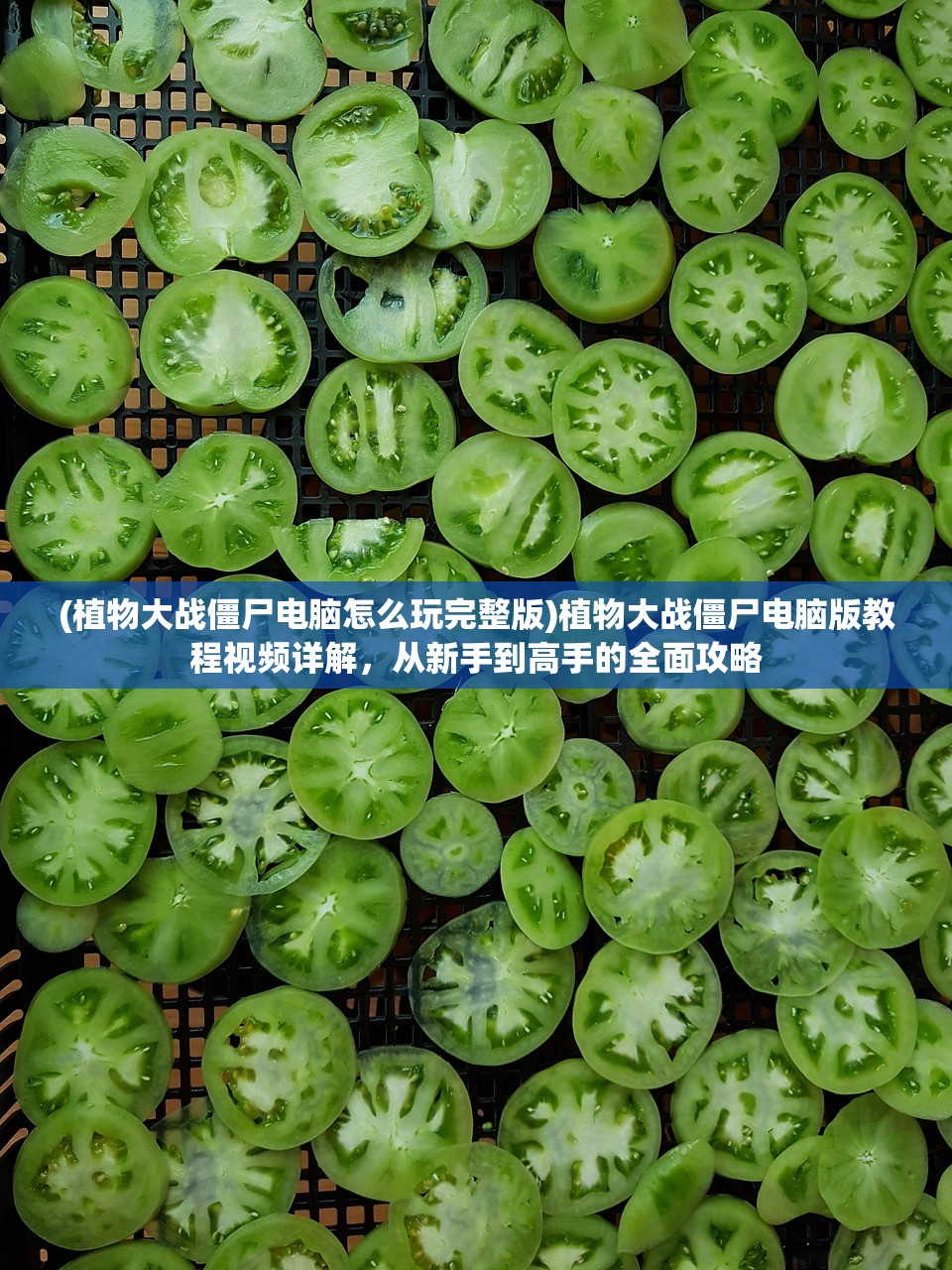 (植物大战僵尸电脑怎么玩完整版)植物大战僵尸电脑版教程视频详解，从新手到高手的全面攻略