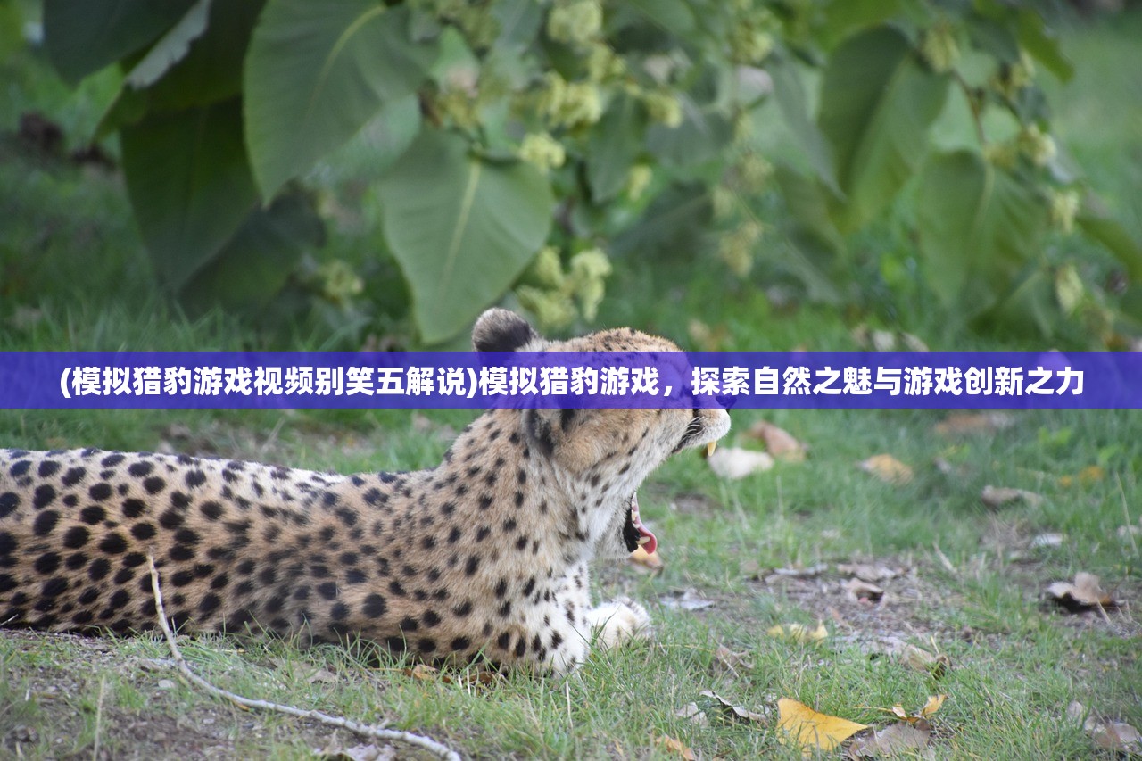 (模拟猎豹游戏视频别笑五解说)模拟猎豹游戏，探索自然之魅与游戏创新之力