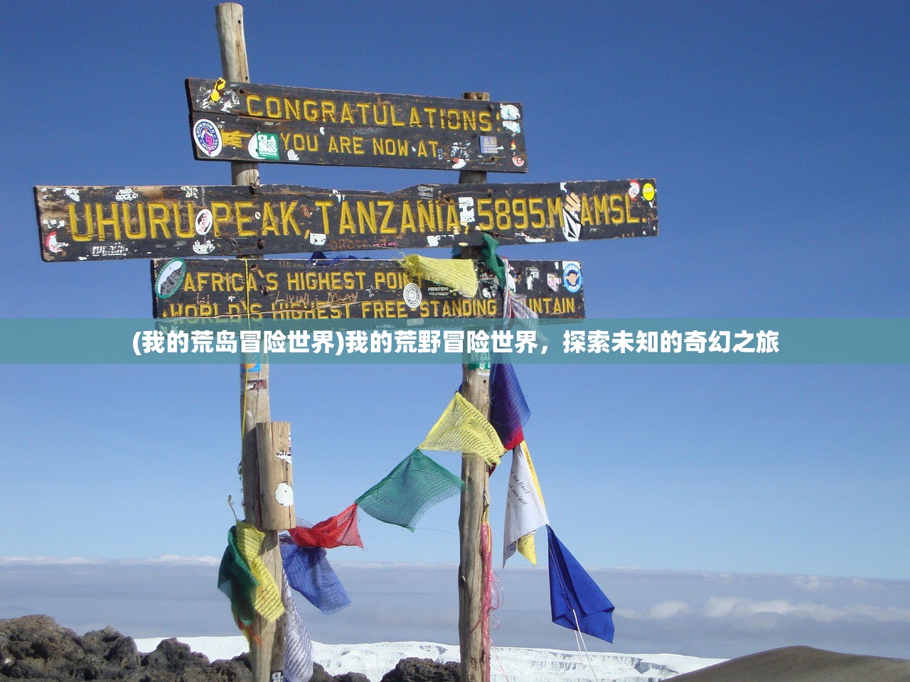 (我的荒岛冒险世界)我的荒野冒险世界，探索未知的奇幻之旅