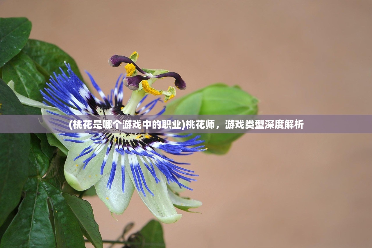 (桃花是哪个游戏中的职业)桃花师，游戏类型深度解析