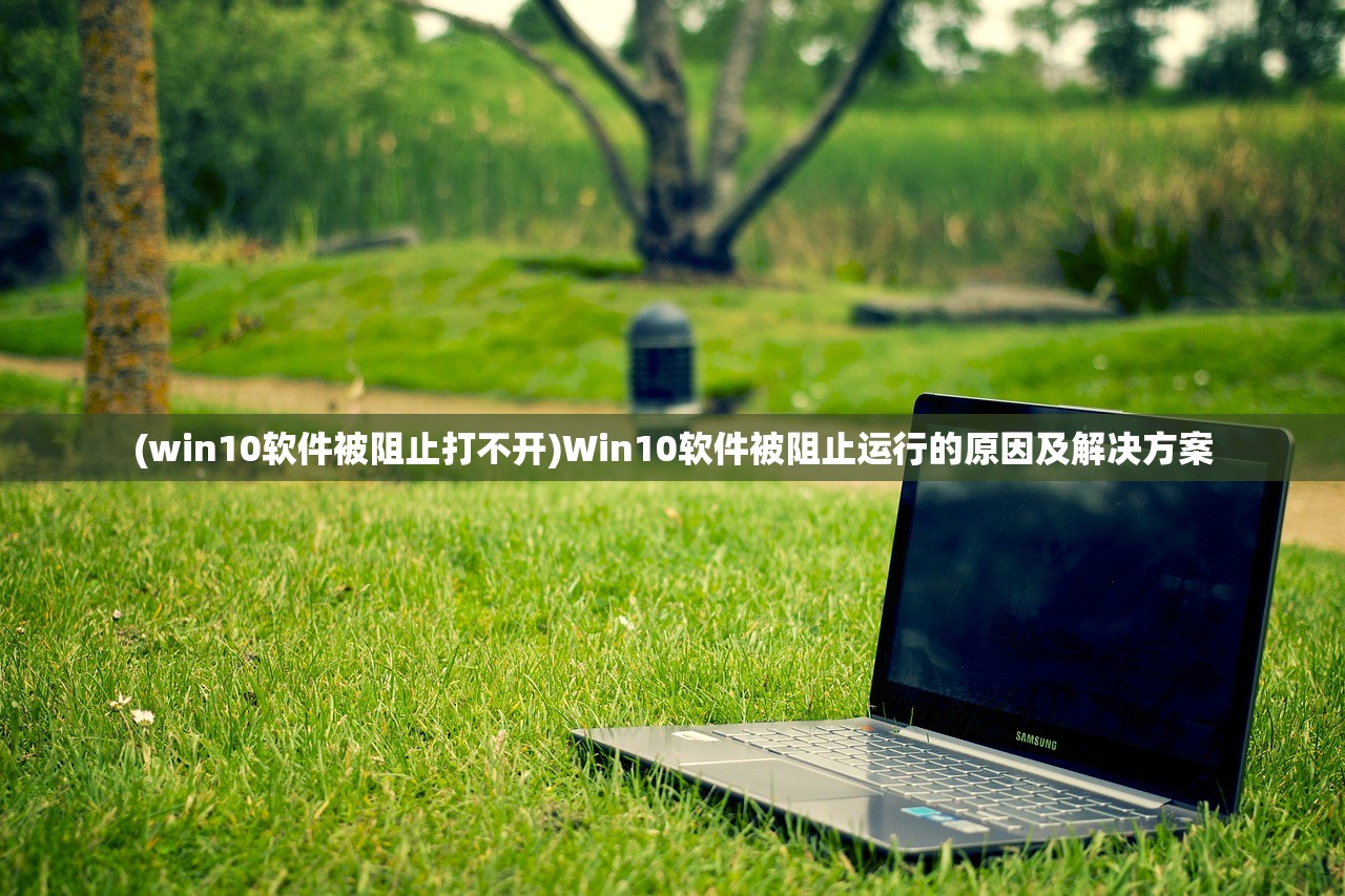 (win10软件被阻止打不开)Win10软件被阻止运行的原因及解决方案