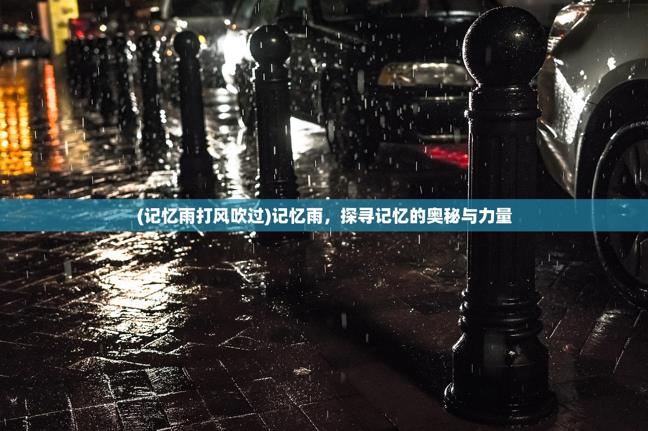 (记忆雨打风吹过)记忆雨，探寻记忆的奥秘与力量